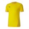 PUMA teamGOAL 23 Trikot kurzarm | Gelb F07 - gelb