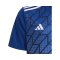 adidas Team Icon 23 Trikot | Blau - blau