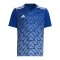 adidas Team Icon 23 Trikot | Blau - blau