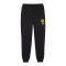 PUMA BVB Dortmund Ftbl ICONS Trainingshose Schwarz - schwarz