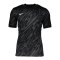 Nike Gardien V Torwarttrikot Grau F060 - grau