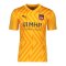 PUMA 1. FC Heidenheim TW-Trikot 2024/2025 Kids - orange