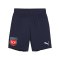 PUMA 1. FC Heidenheim Short Away 2024/2025 Kids - blau