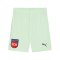 PUMA 1. FC Heidenheim TW-Short 2024/2025 Kids - gruen