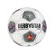 Derbystar Bundesliga Magic APS v24 Spielball F024 - weiss