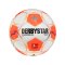 Derbystar Bundesliga Club TT v24 Trainingsball - weiss