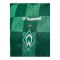 Hummel SV Werder Bremen Trikot Home 2024/2025 - gruen