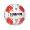 Derbystar Admiral Bundesliga Brillant APS v24 - weiss