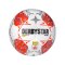 Derbystar Admiral Bundesliga Brillant TT v24 - weiss