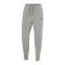 Nike Polen Tech Fleece Jogginghose EM 2024 Grau - grau