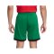 Nike Portugal Short Home EM 2024 Grün F302 - gruen