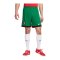 Nike Portugal Short Home EM 2024 Grün F302 - gruen