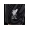 Nike FC Liverpool Torwartshort 2024/2025 Kids - grau