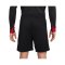 Nike FC Liverpool Trainingsshort Schwarz F010 - grau