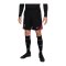 Nike FC Liverpool Trainingsshort Schwarz F010 - grau