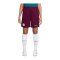 Nike Paris St. Germain Trainingsshort Rot F610 - rot