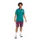 Nike Paris St. Germain Tech Fleece Short Rot F610 - rot