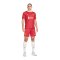 Nike FC Liverpool Short Home 2024/2025 Rot F687 - rot