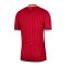 Nike FC Liverpool Auth. Trikot Home 2024/2025 Rot - rot