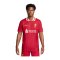 Nike FC Liverpool Auth. Trikot Home 2024/2025 Rot - rot