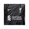 Nike FC Liverpool Torwarttrikot kurzarm 2024/2025 - grau