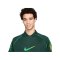 Nike Brasilien Soccer Trikot Copa America 2024 - gruen