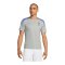 Nike Tottenham Hotspur Trainingsshirt Grau F098 - grau