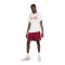 Nike FC Liverpool Swoosh T-Shirt Weiss F100 - weiss