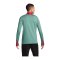 Nike FC Liverpool Drill Top Grün F362 - gruen