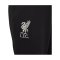 Nike FC Liverpool Trainingshose Kids Schwarz F010 - grau