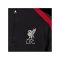 Nike FC Liverpool Drill Top Kids Schwarz F013 - grau