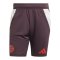 adidas FC Bayern München Short Rot - rot