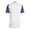 adidas Olympique Lyon Trainingsshirt Weiss - weiss