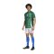 adidas Italien Prematch Shirt Grün - gruen