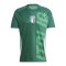 adidas Italien Prematch Shirt Grün - gruen