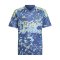 adidas Ajax Amsterdam Trikot Away 2024/2025 Kids - blau