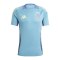 adidas Ajax Amsterdam Training T-Shirt Blau - blau