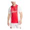 adidas Ajax Amsterdam Trikot Home 2024/2025 Weiss - weiss