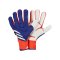 adidas Predator Pro FS TW-Handschuhe Advancemet - blau