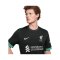 Nike FC Liverpool Trikot Away 2024/2025 Grau F322 | - grau