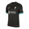 Nike FC Liverpool Trikot Away 2024/2025 Grau F322 | - grau