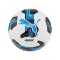 PUMA Orbita 5 Fusion Trainingsball Weiss F05 - weiss