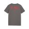 PUMA FC St. Pauli Casual T-Shirt Kids Grau F06 - grau