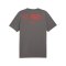 PUMA FC St. Pauli Casual T-Shirt Grau F06 - grau