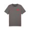 PUMA FC St. Pauli Casual T-Shirt Grau F06 - grau