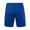 Castore Athletic Bilbao Short Away 2024/2025 Blau - blau