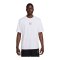 Nike Air Fit T-Shirt F100 - weiss