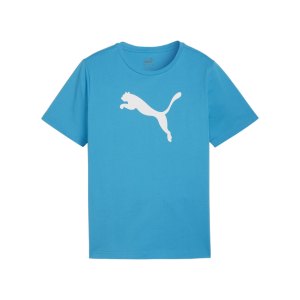 puma-teamrise-logo-trainingshirt-kids-blau-f02-658707-teamsport_front.png