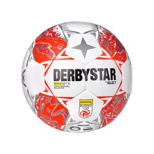 derbystar-admiral-bundesliga-brillant-aps-v24-f024-1830-equipment_front.png